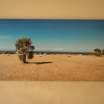 Masseria Luce 2*